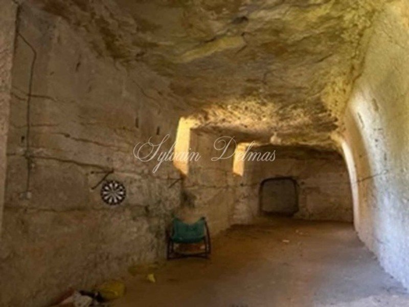 16 Room Property For Sale Near Amboise (37)