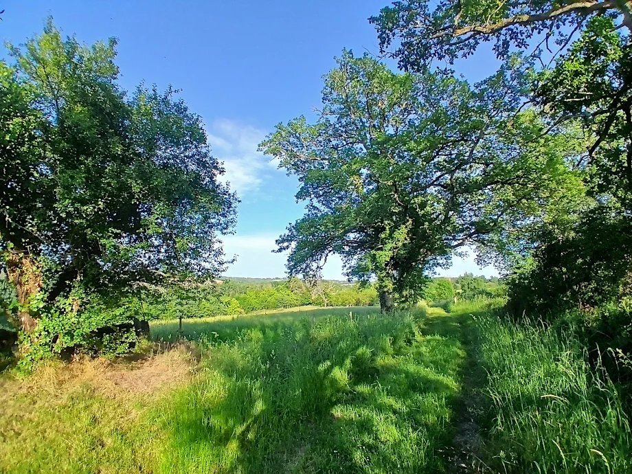 16th Century Castle With Dependences, Park, Paddocks And Woods On 6ha 41a 83ca
