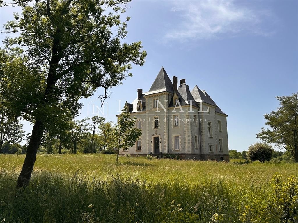 19th C. Château In The Vendée Department With 140 Acres, Outbuildings Including Two Gîtes