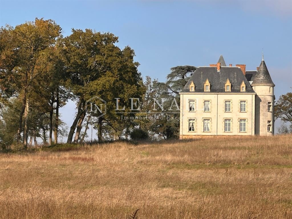 19th C. Château In The Vendée Department With 140 Acres, Outbuildings Including Two Gîtes - 2