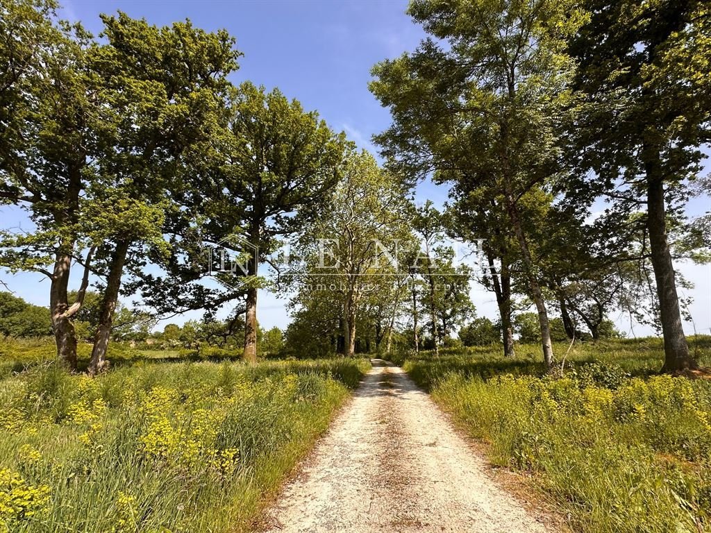 19th C. Château In The Vendée Department With 140 Acres, Outbuildings Including Two Gîtes