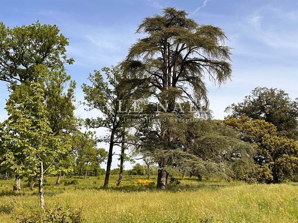 19th C. Château In The Vendée Department With 140 Acres, Outbuildings Including Two Gîtes