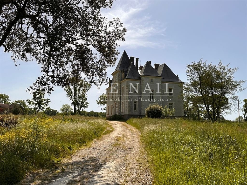 19th C. Château In The Vendée Department With 140 Acres, Outbuildings Including Two Gîtes