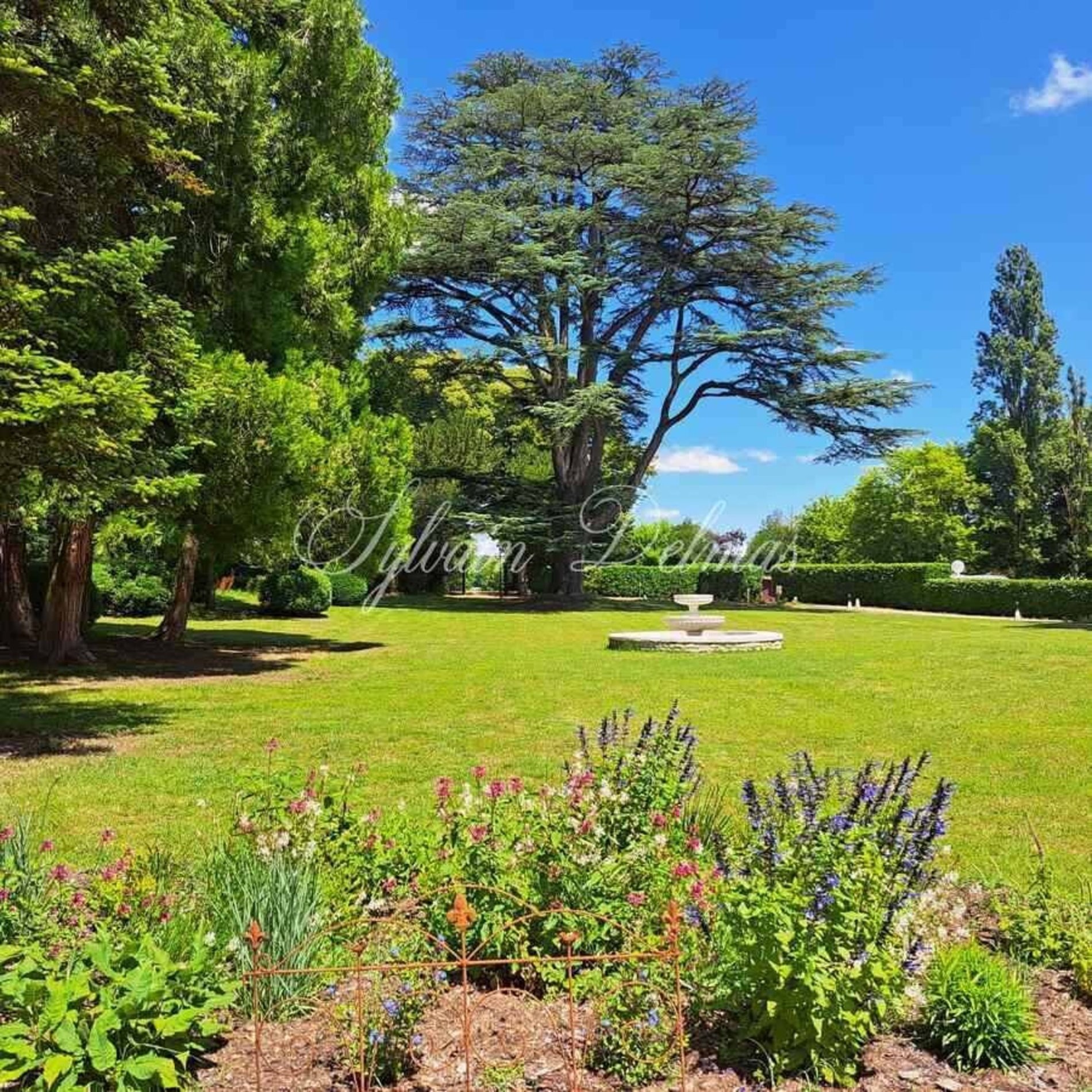 50 Room Property For Sale Near Tours (37)
