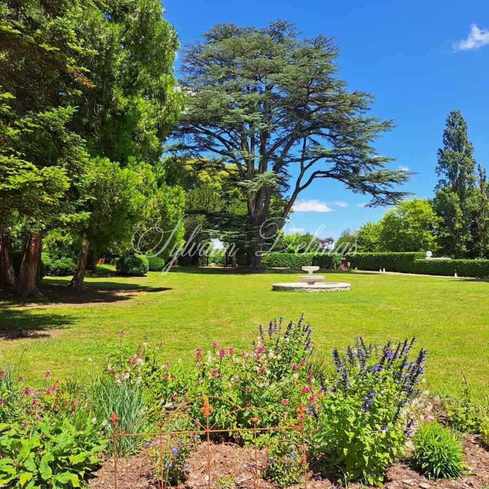 50 Room Property For Sale Near Tours (37)