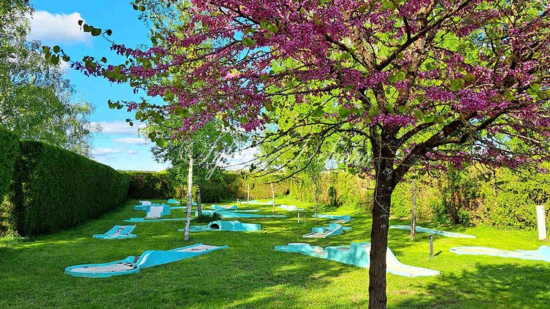 50 Room Property For Sale Near Tours (37)