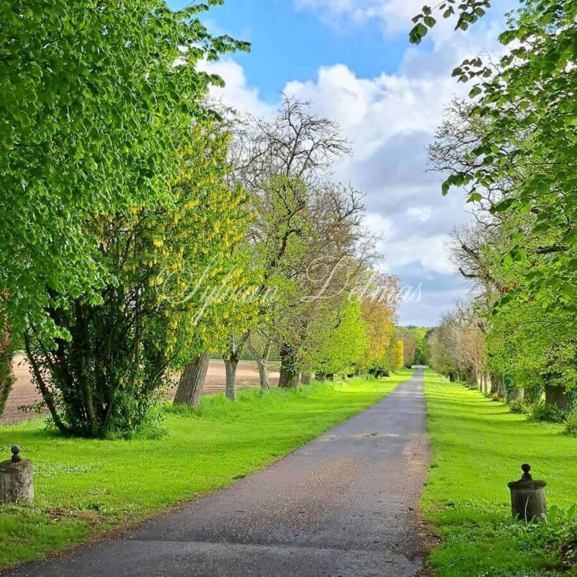 50 Room Property For Sale Near Tours (37)