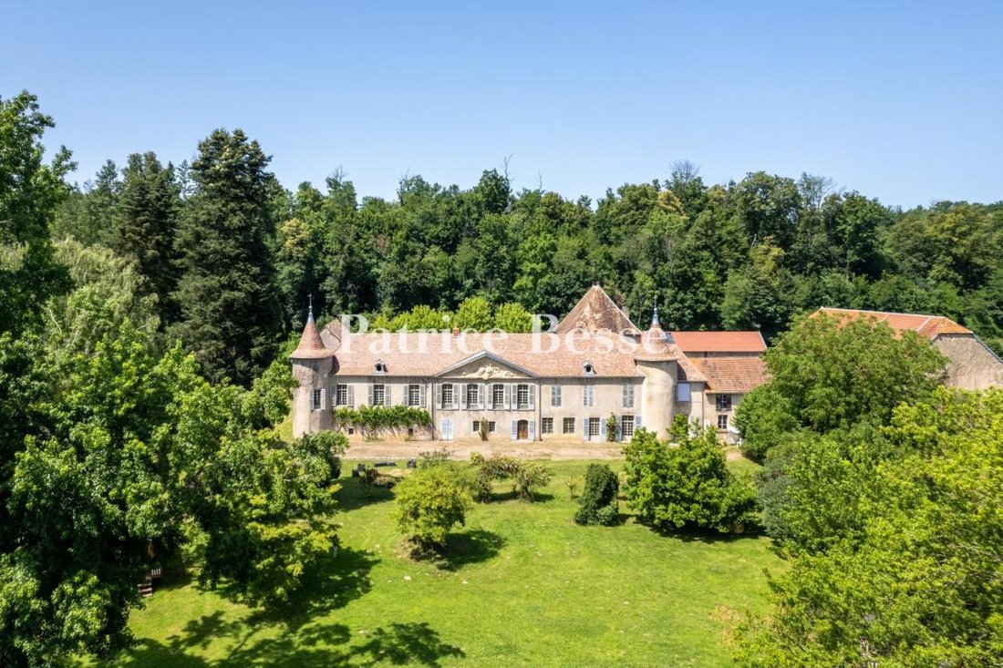 A Chateau From The 16th And 18th Centuries, With Its Outbuildings, Surrounded By 20 Hectares Of