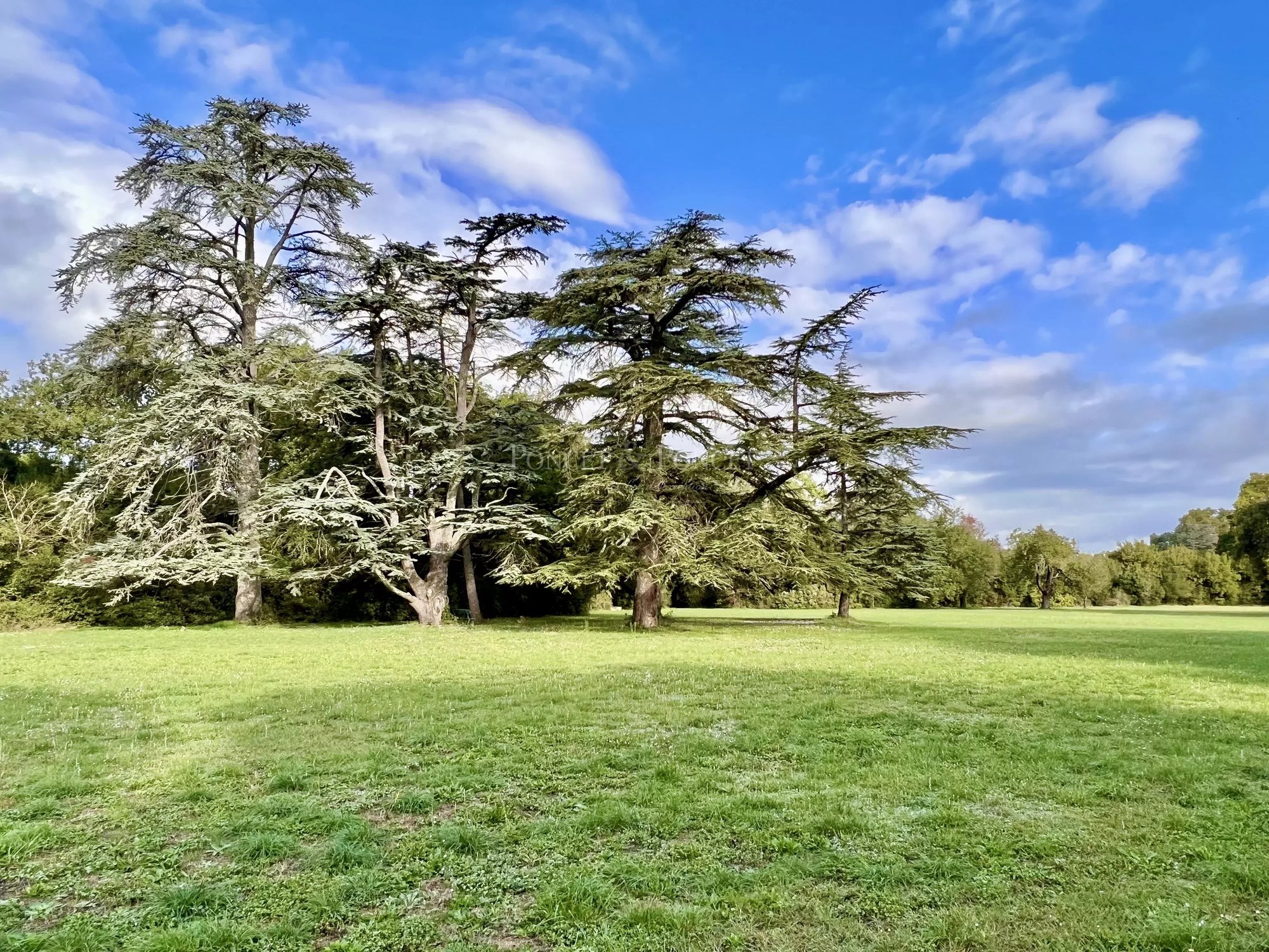 A Heritage Jewel In Languedoc