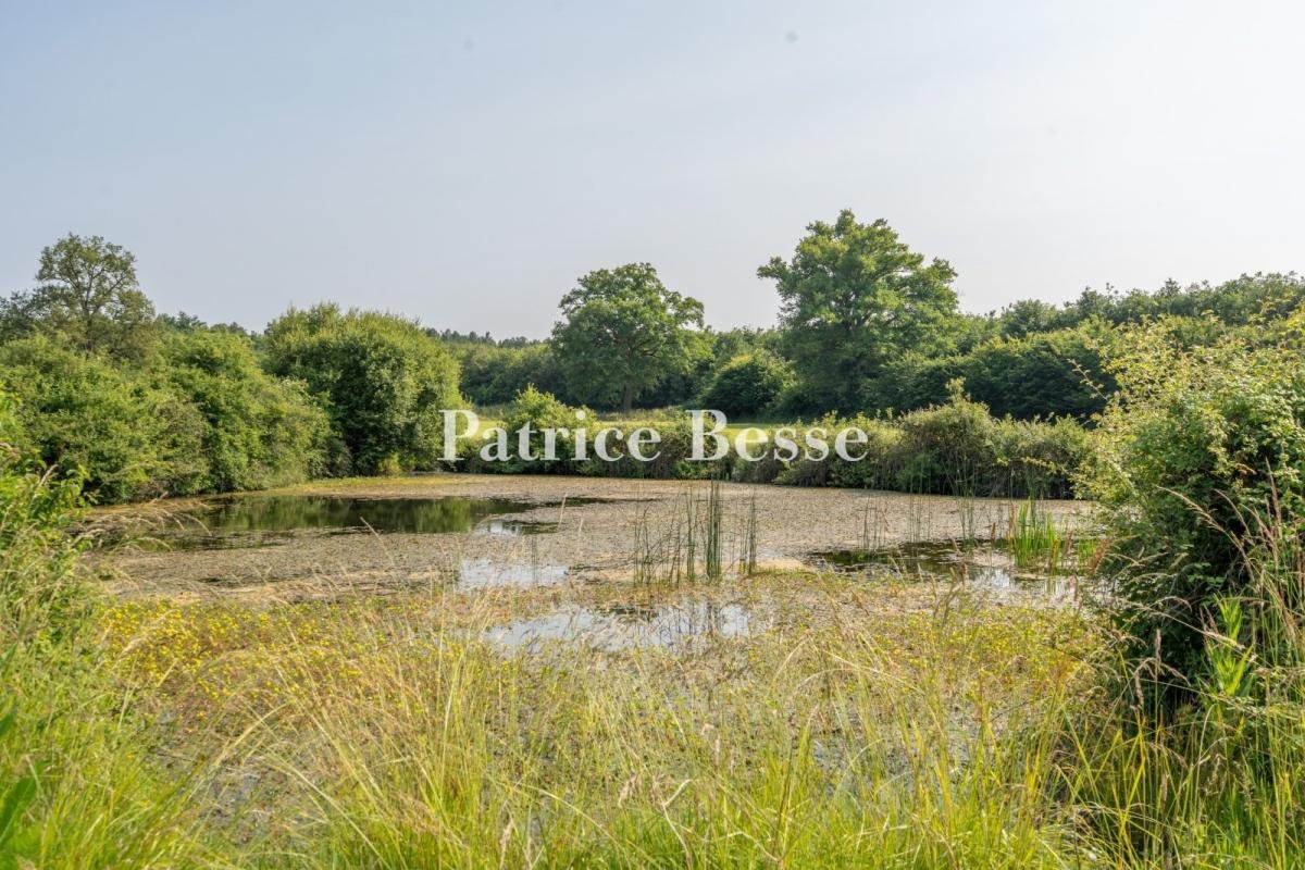 A Late 19th Century Chateau And Its Former Farm, Surrounded By Grounds And 140 Hectares Of