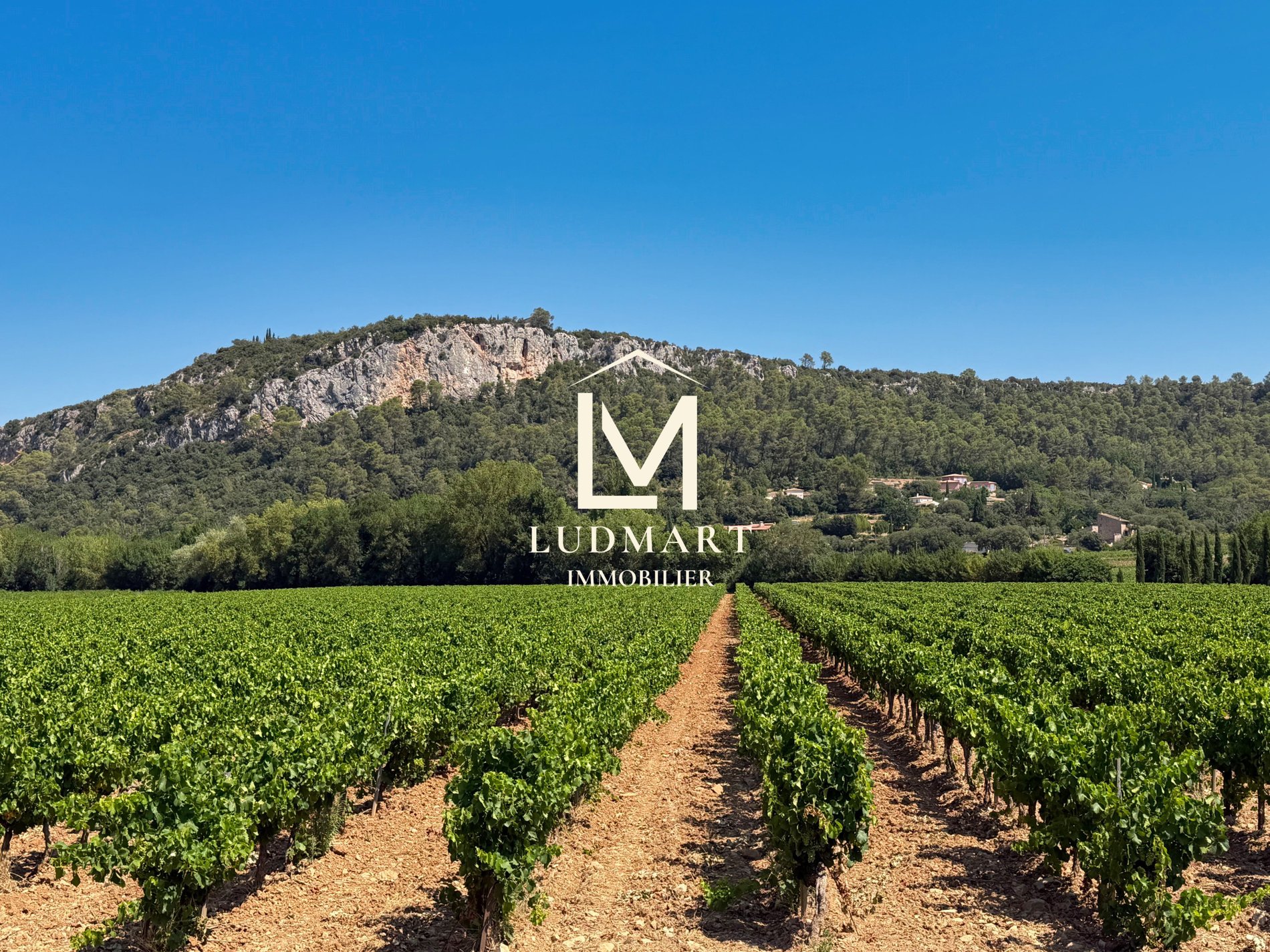 A Timeless Provençal Estate Combining Heritage, Vineyards And Exceptional Potential