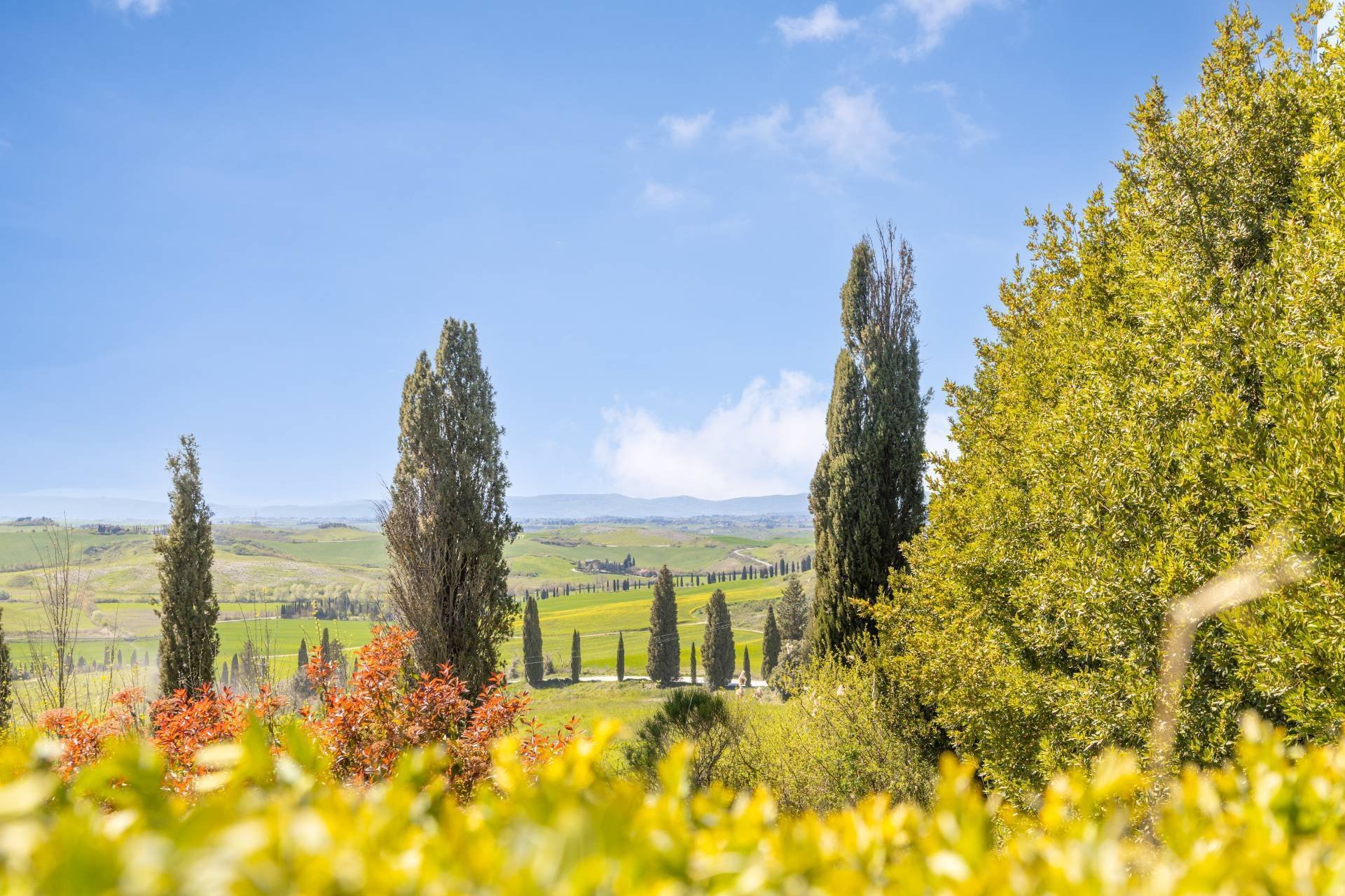 Castello In Vendita A Asciano