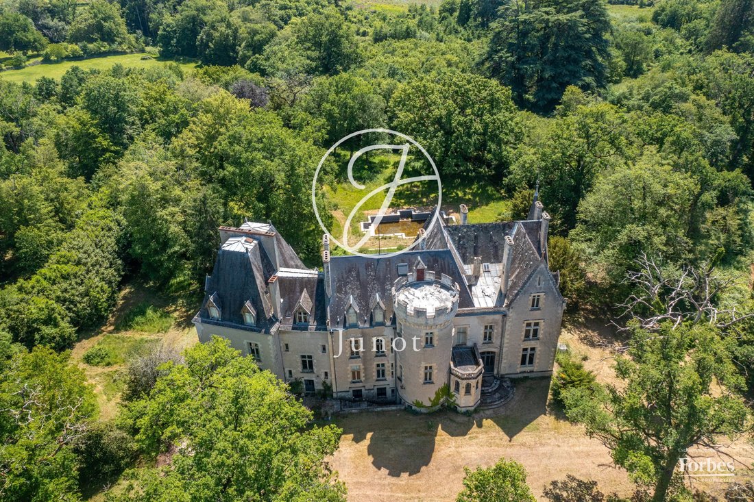 Château La Guerche Sur L'aubois 1173.0 Sqm 16 Bedrooms