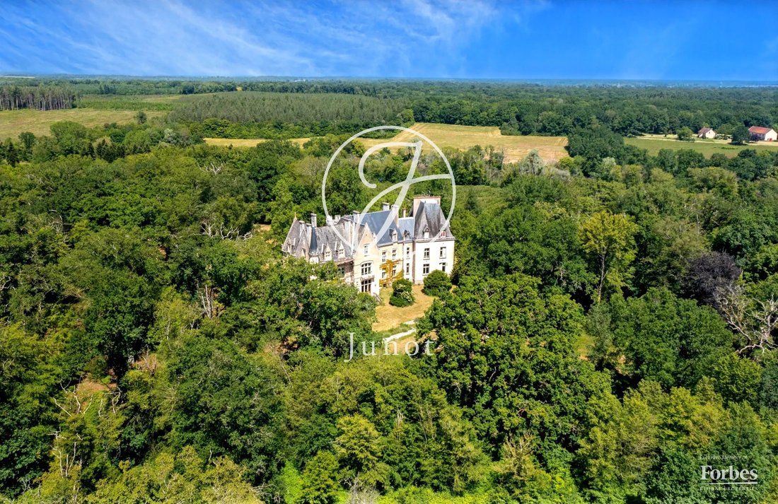 Château La Guerche Sur L'aubois 1173.0 Sqm 16 Bedrooms