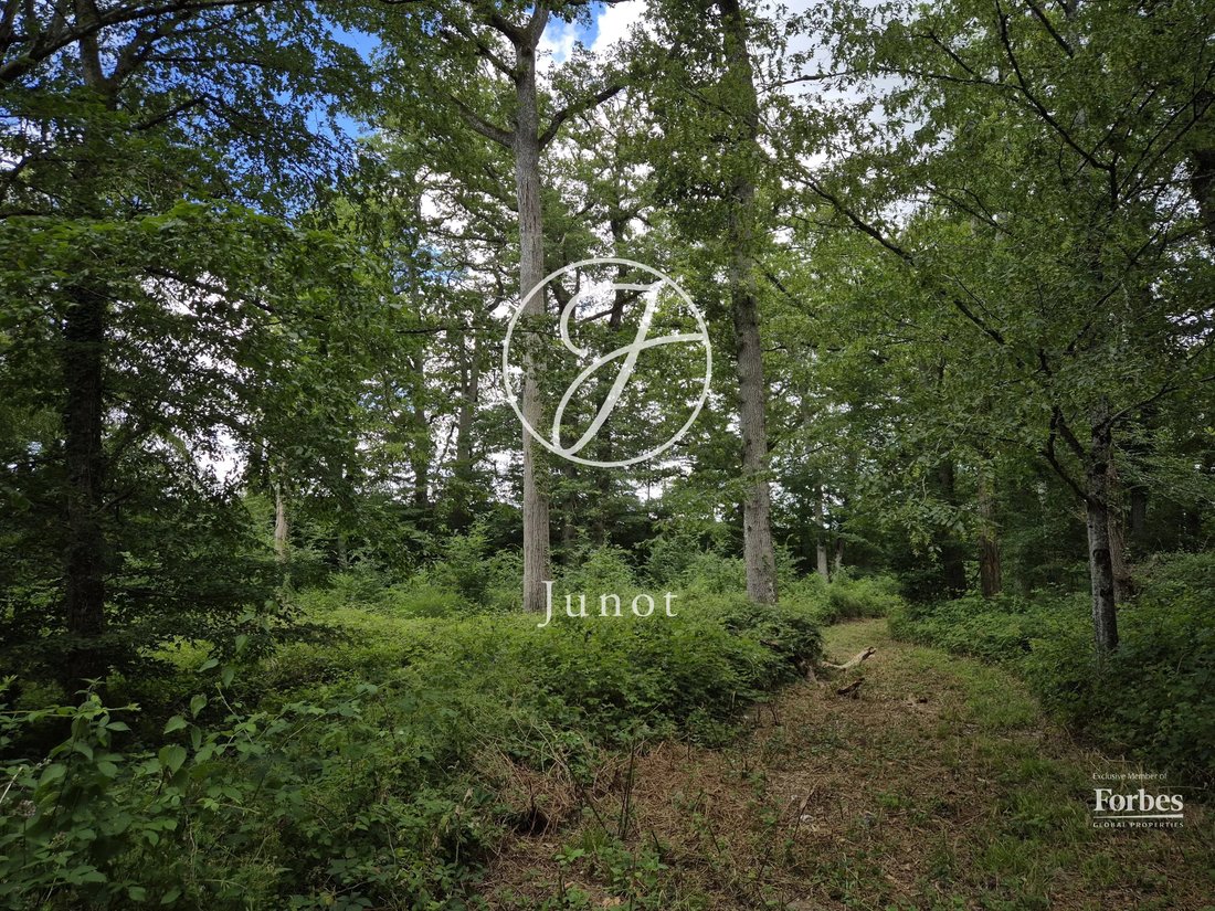 Château La Guerche Sur L'aubois 1173.0 Sqm 16 Bedrooms