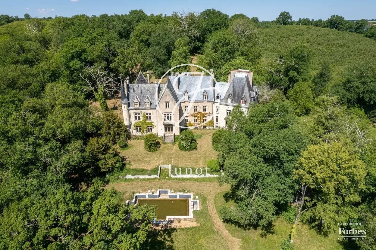 Château La Guerche Sur L'aubois 1173.0 Sqm 16 Bedrooms
