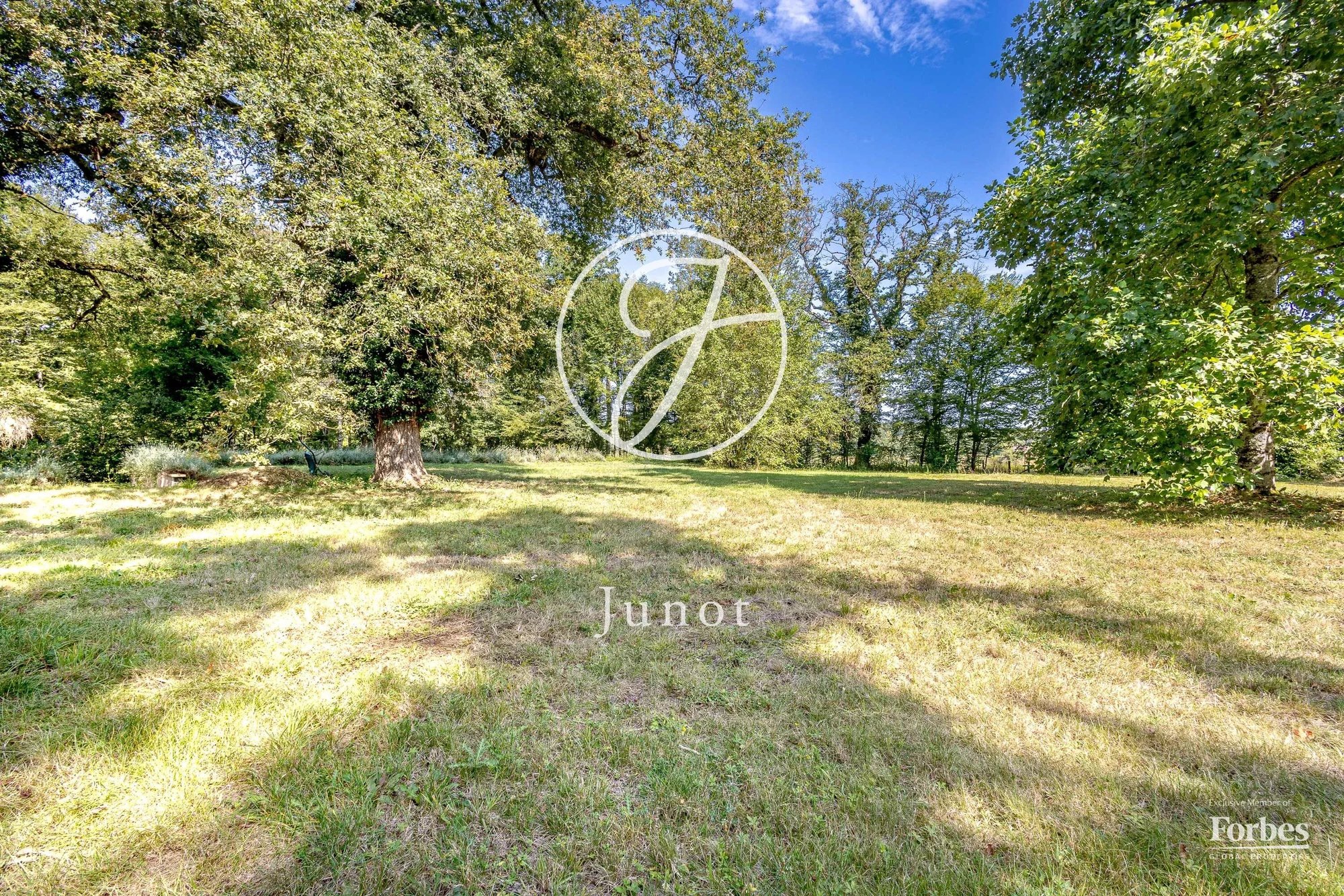 Château La Guerche Sur L'aubois 1173.0 Sqm 16 Bedrooms