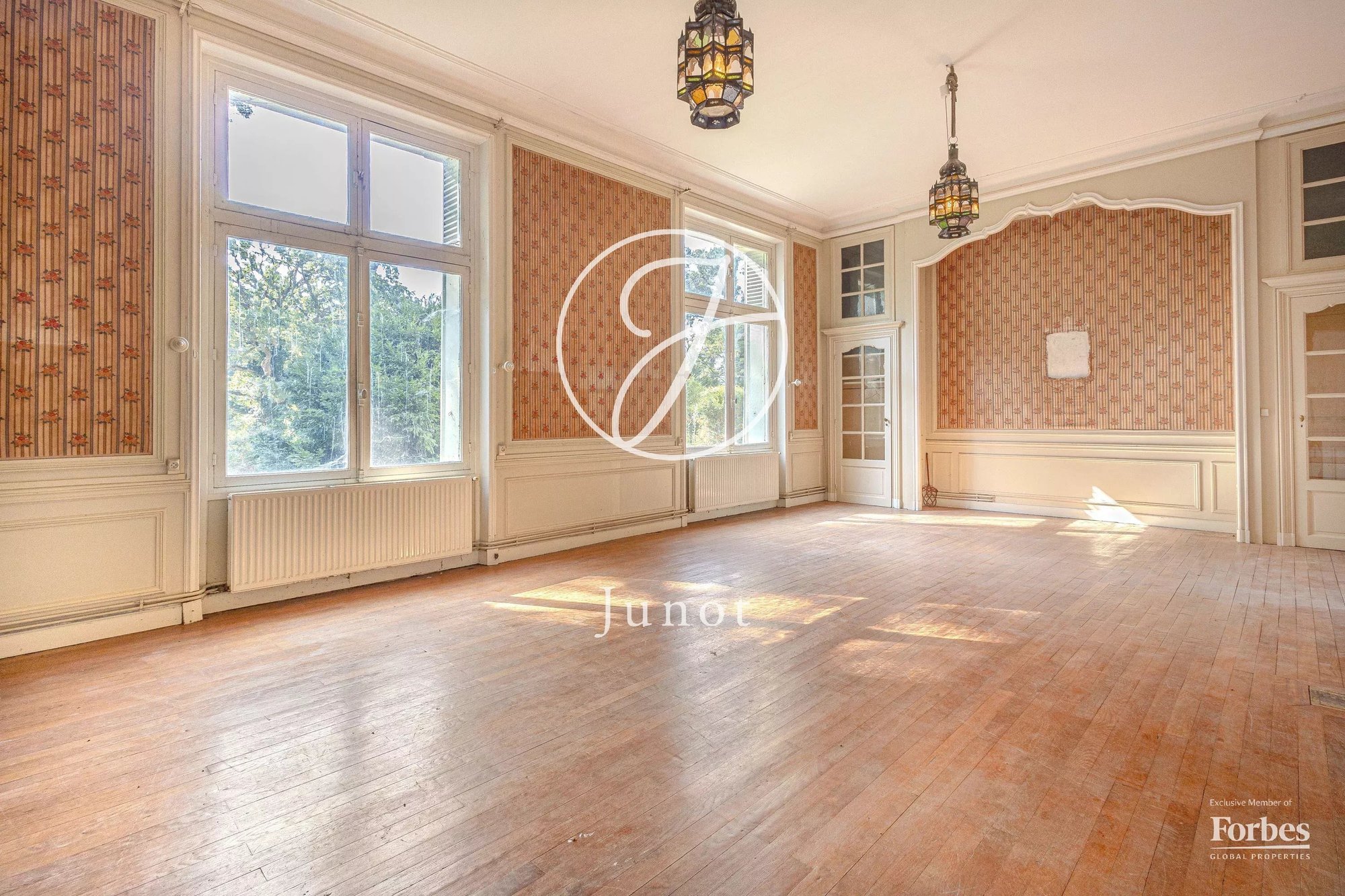 Château La Guerche Sur L'aubois 1173.0 Sqm 16 Bedrooms