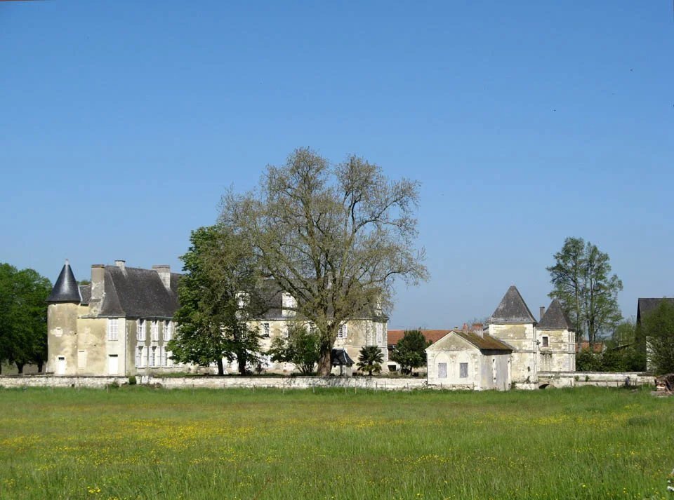 Châtellerault: A 14th–15th Century Listed Historic Monument In Need Of Renovation, Set In 4 Hectares