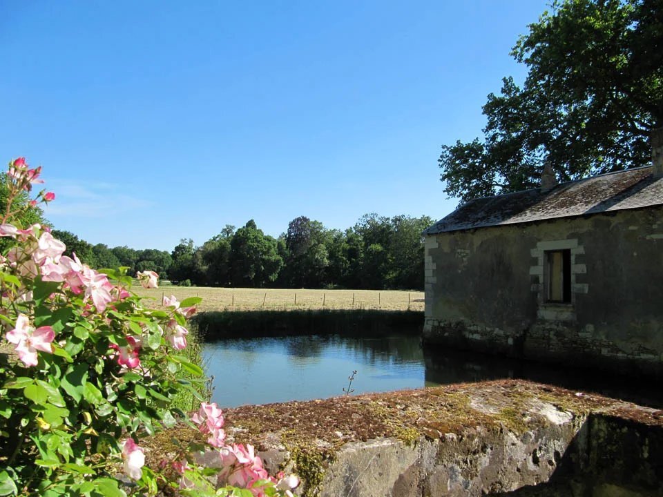 Châtellerault: A 14th–15th Century Listed Historic Monument In Need Of Renovation, Set In 4 Hectares - 4