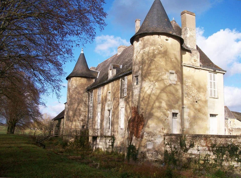 Châtellerault: A 14th–15th Century Listed Historic Monument In Need Of Renovation, Set In 4 Hectares - 5
