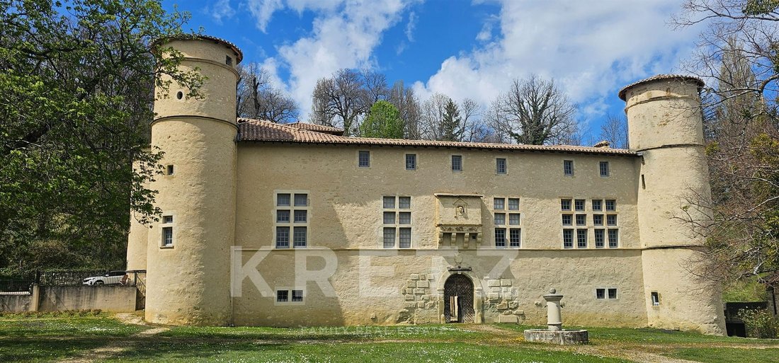 Exceptionnal Restored Castle Panoramic View - 5