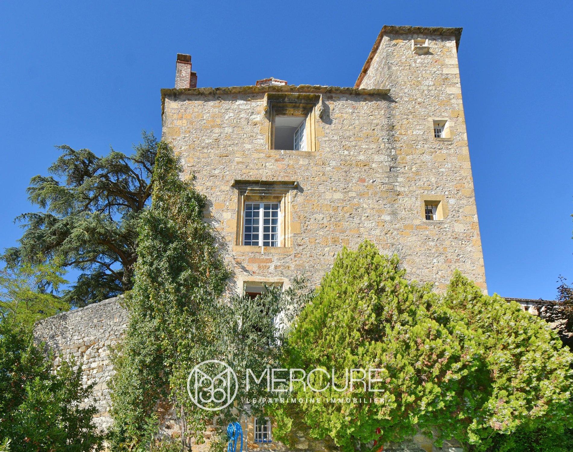Late 15 Th C Medieval Castle Esceptional View
