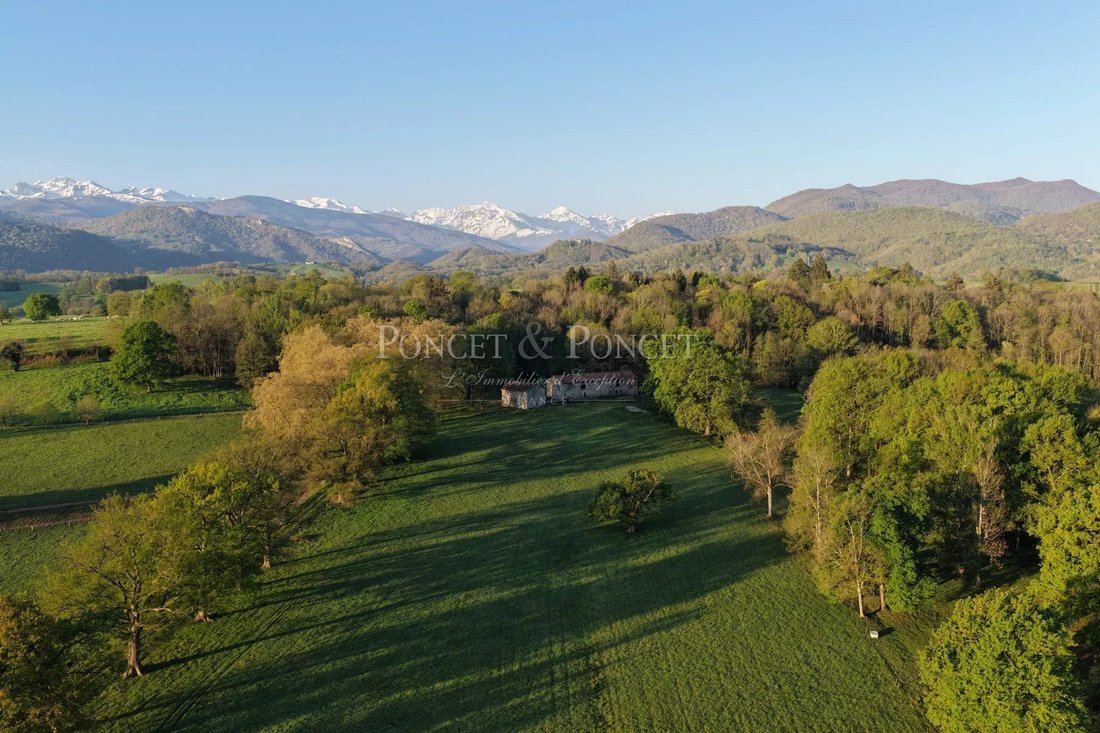 Magical XI Xeme Castle With 31 Ha - 5