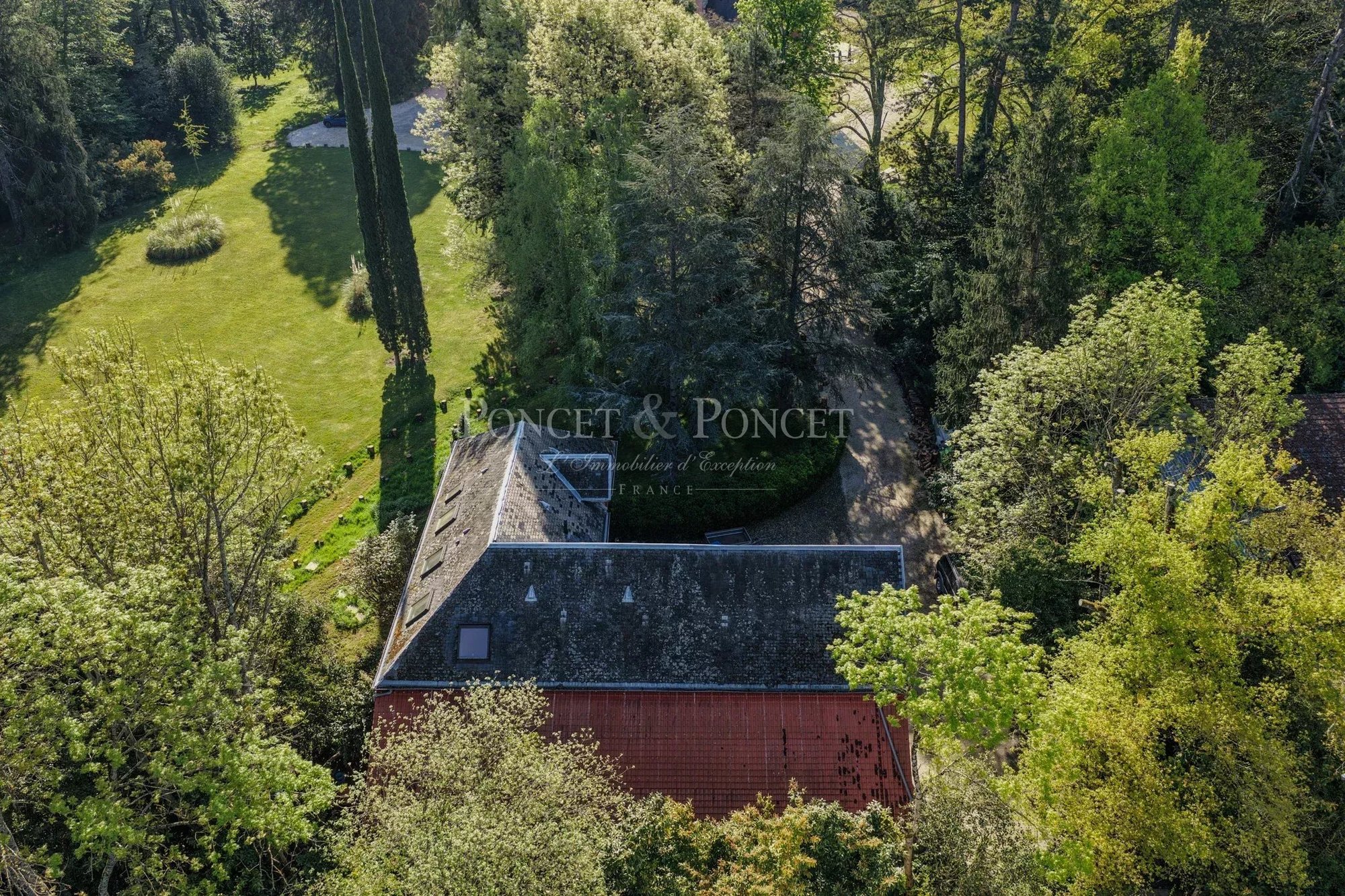 Magical XI Xeme Castle With 31 Ha