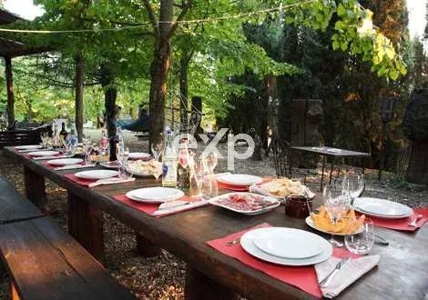 Medieval Castle In The Heart Of Chianti Classico
