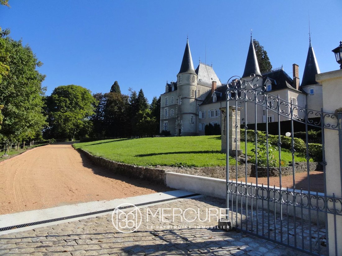Near Vichy Prestigious 15 Th 19 Th Century Castle In Perfect Condition, On 8.3 Hectares.