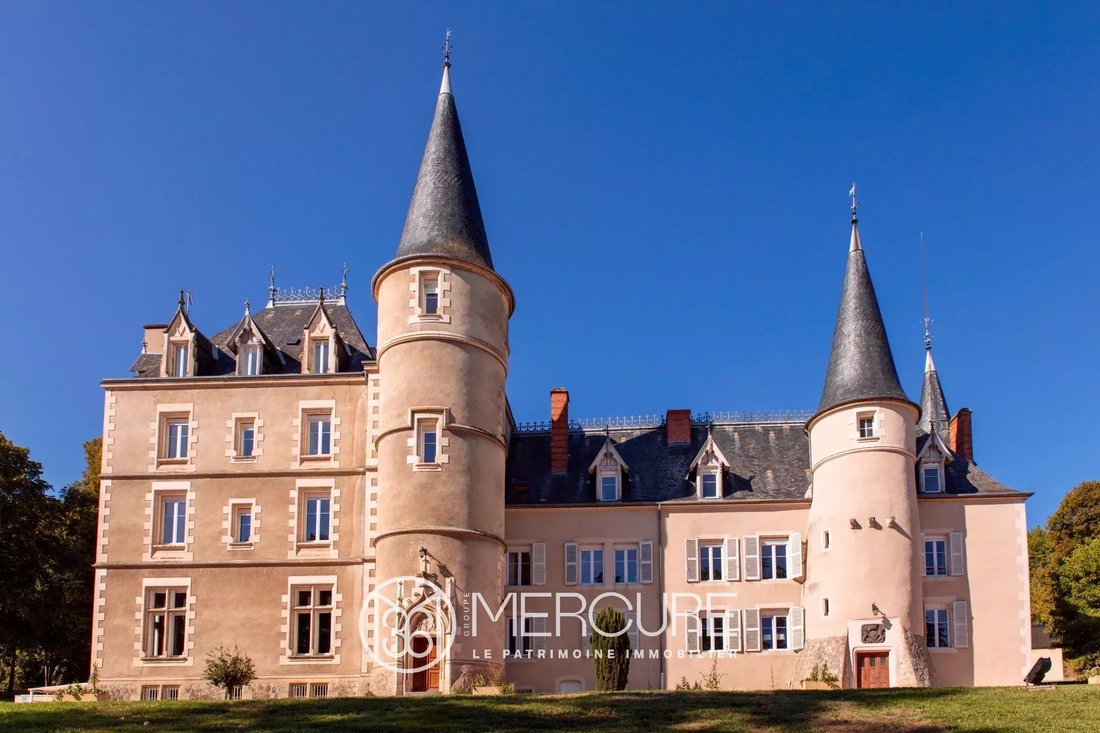 Near Vichy Prestigious 15 Th 19 Th Century Castle In Perfect Condition, On 8.3 Hectares. - 2