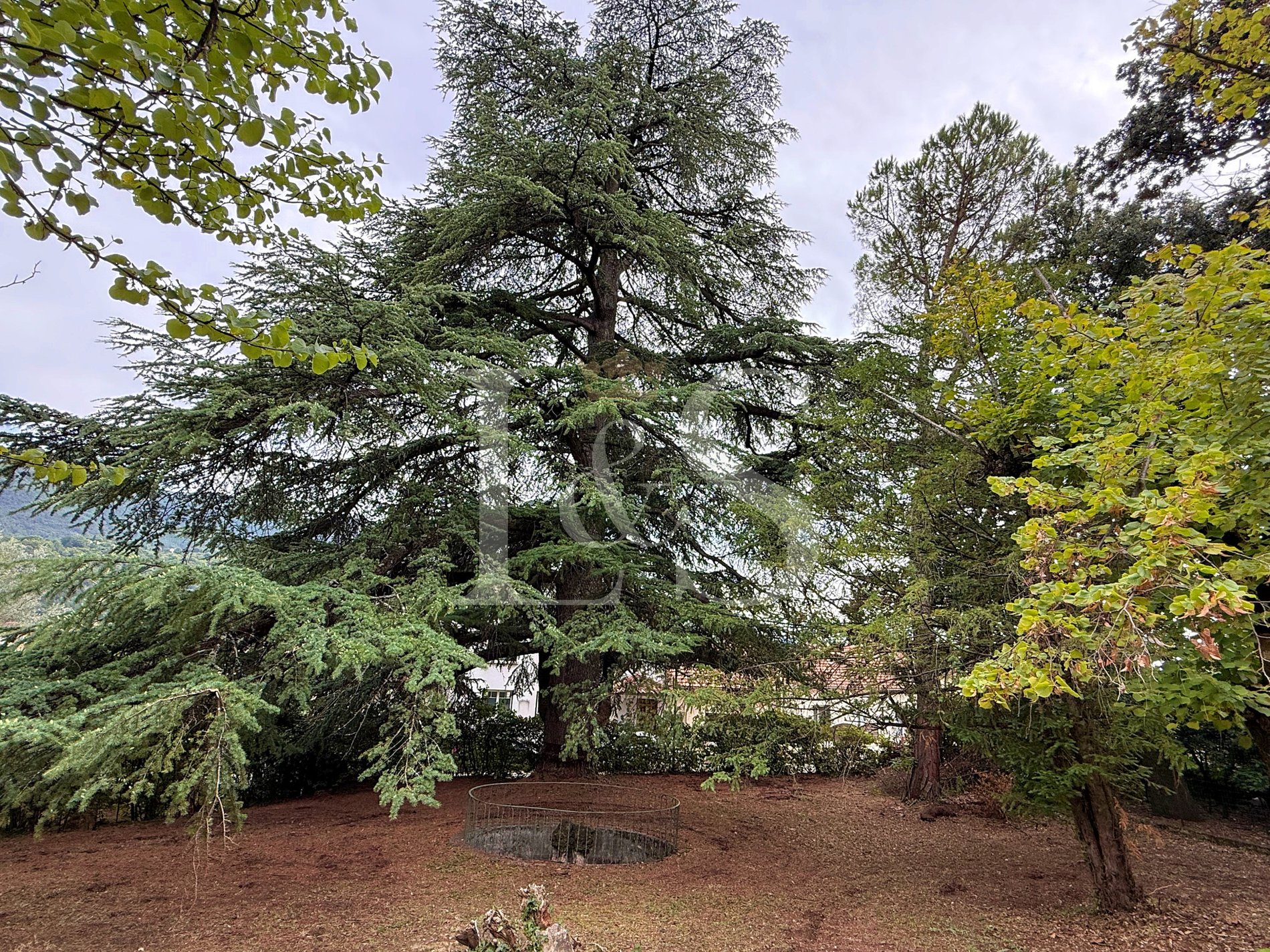 Prestigious Castle With Spa & Swimming Pool In Drôme Provençale