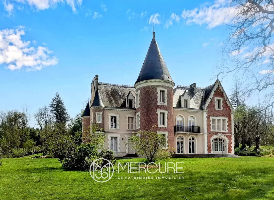 Renovated Château, 66 Ha, Swimming Pool, Spring