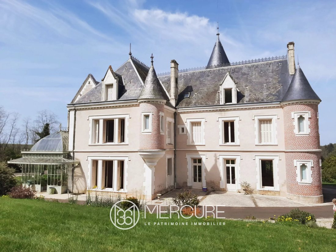 Renovated Château, 66 Ha, Swimming Pool, Spring - 2