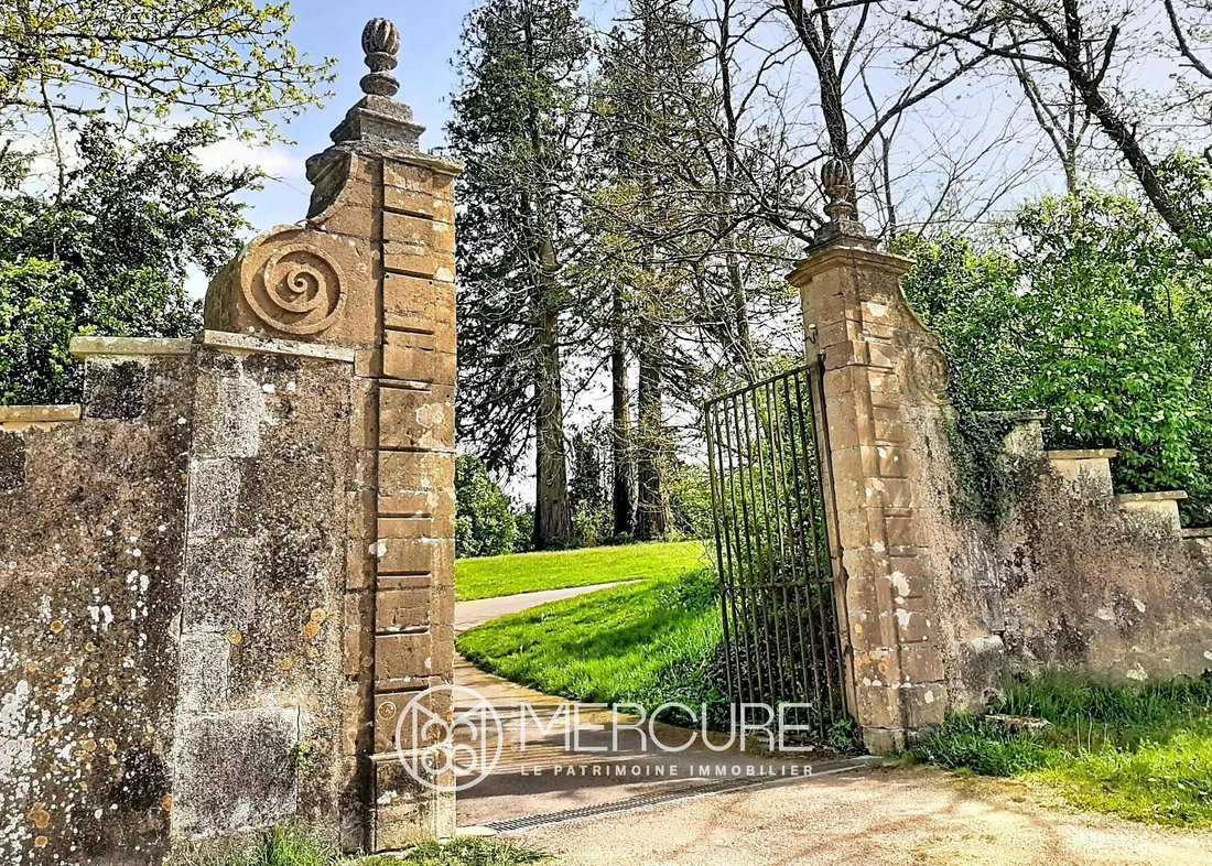 Renovated Château, 66 Ha, Swimming Pool, Spring - 3