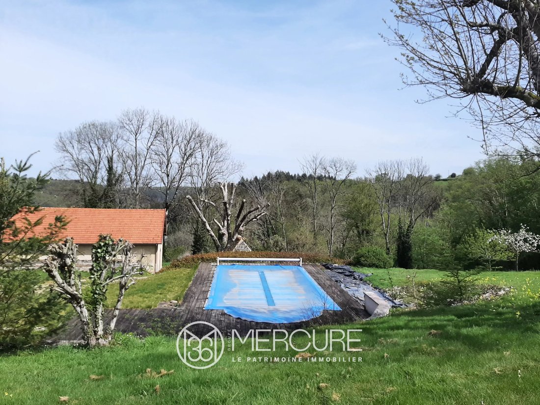 Renovated Château, 66 Ha, Swimming Pool, Spring - 5