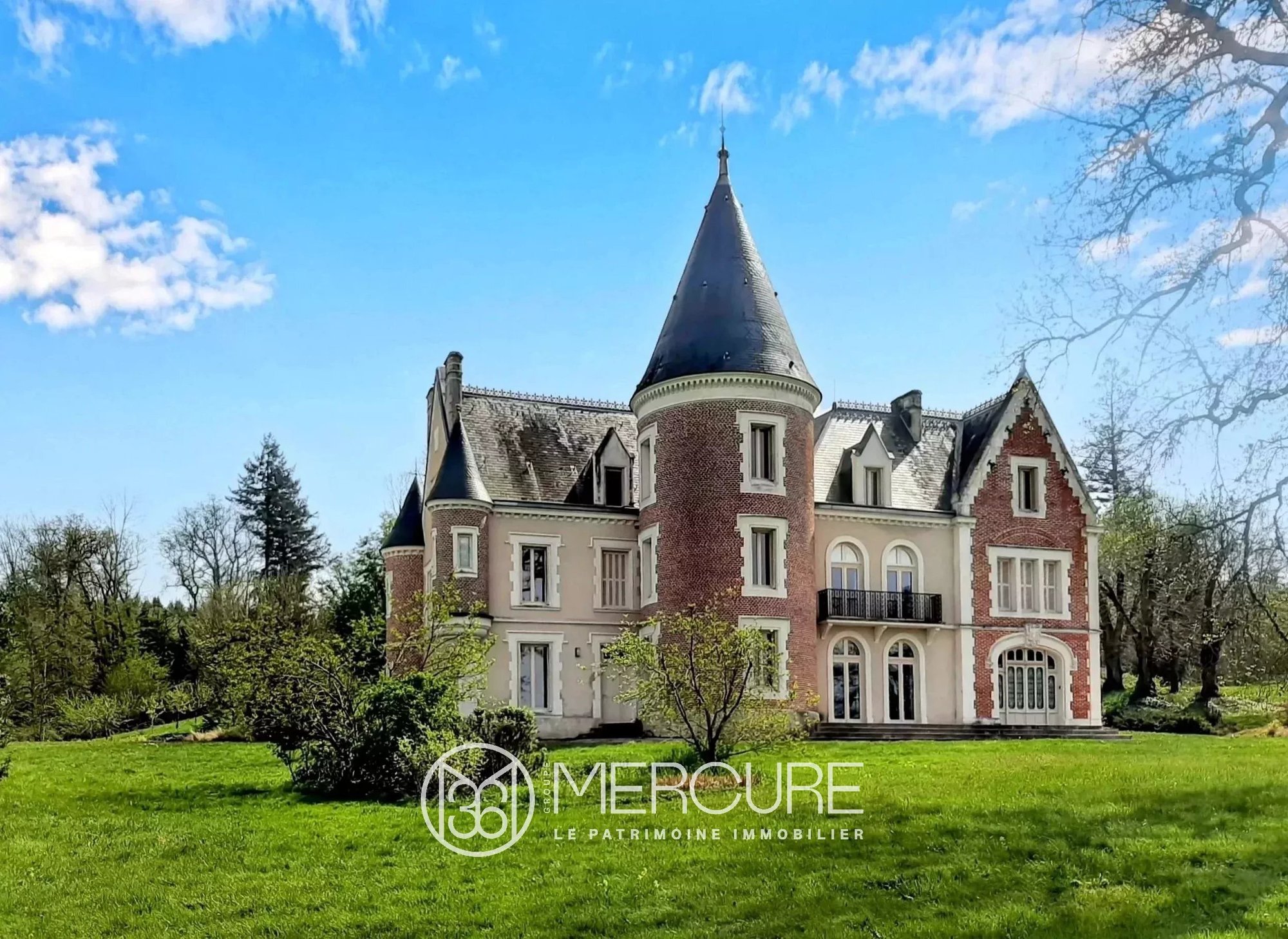 Renovated Château, 66 Ha, Swimming Pool, Spring