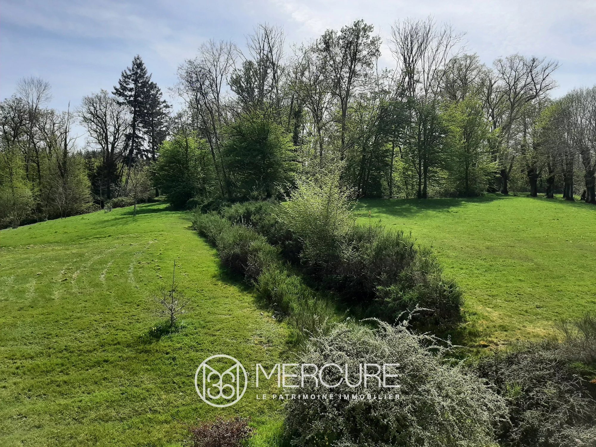 Renovated Château, 66 Ha, Swimming Pool, Spring