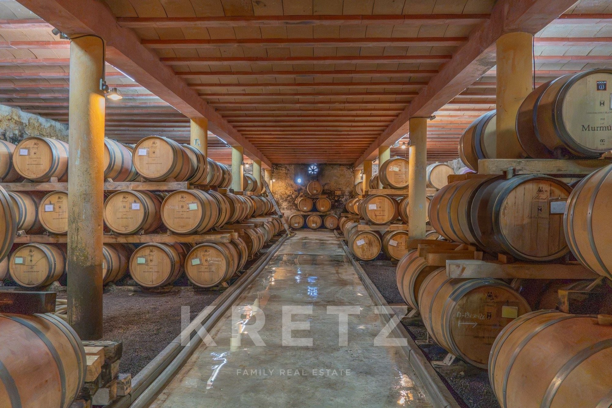 Restored Castle With 25 Hectares Of Vineyards