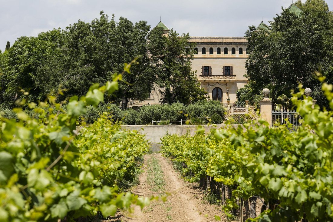 Rural Estate With 20ha Of Operating Vineyards For Sale In Tarragona - 5