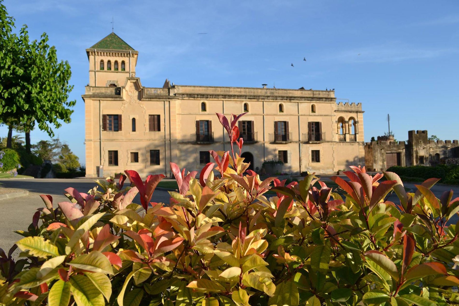 Rural Estate With 20ha Of Operating Vineyards For Sale In Tarragona