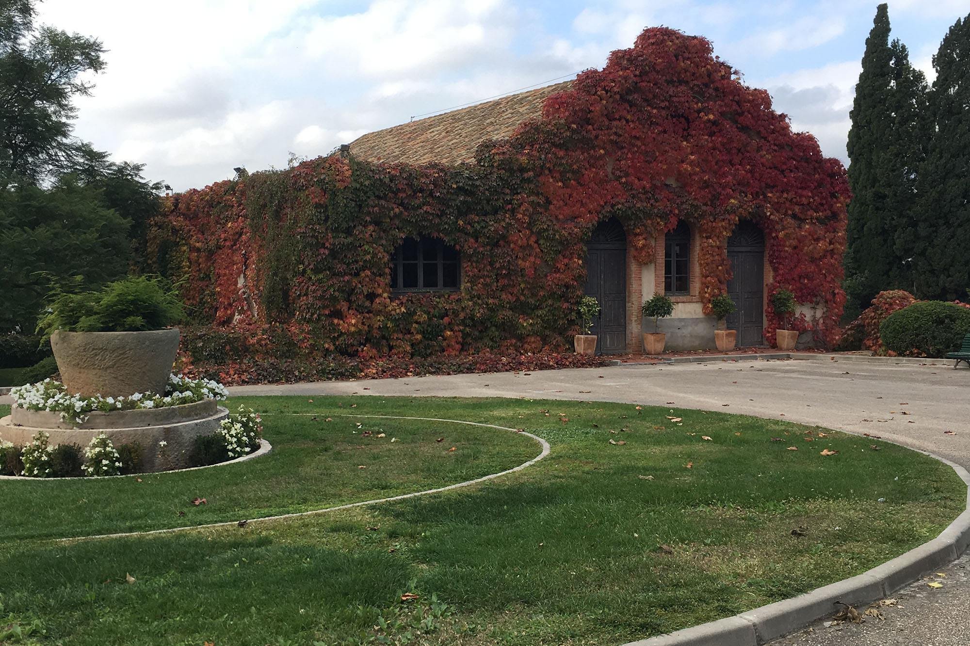 Rural Estate With 20ha Of Operating Vineyards For Sale In Tarragona