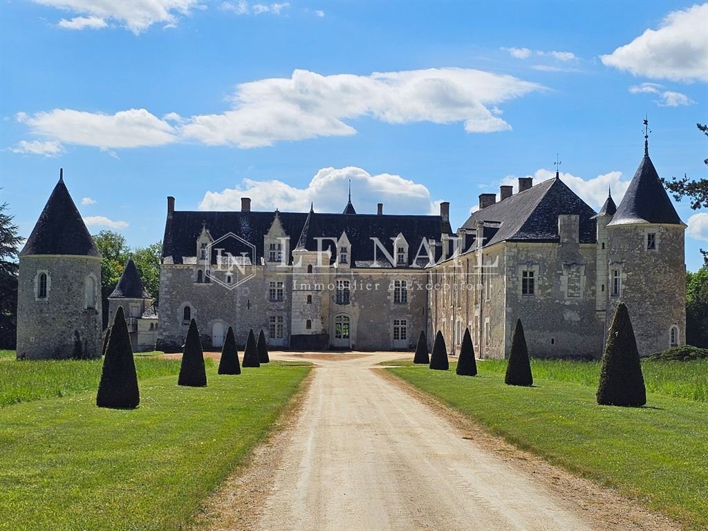Splendid 15th And 18th C. Chateau On The Border Between Anjou And Touraine