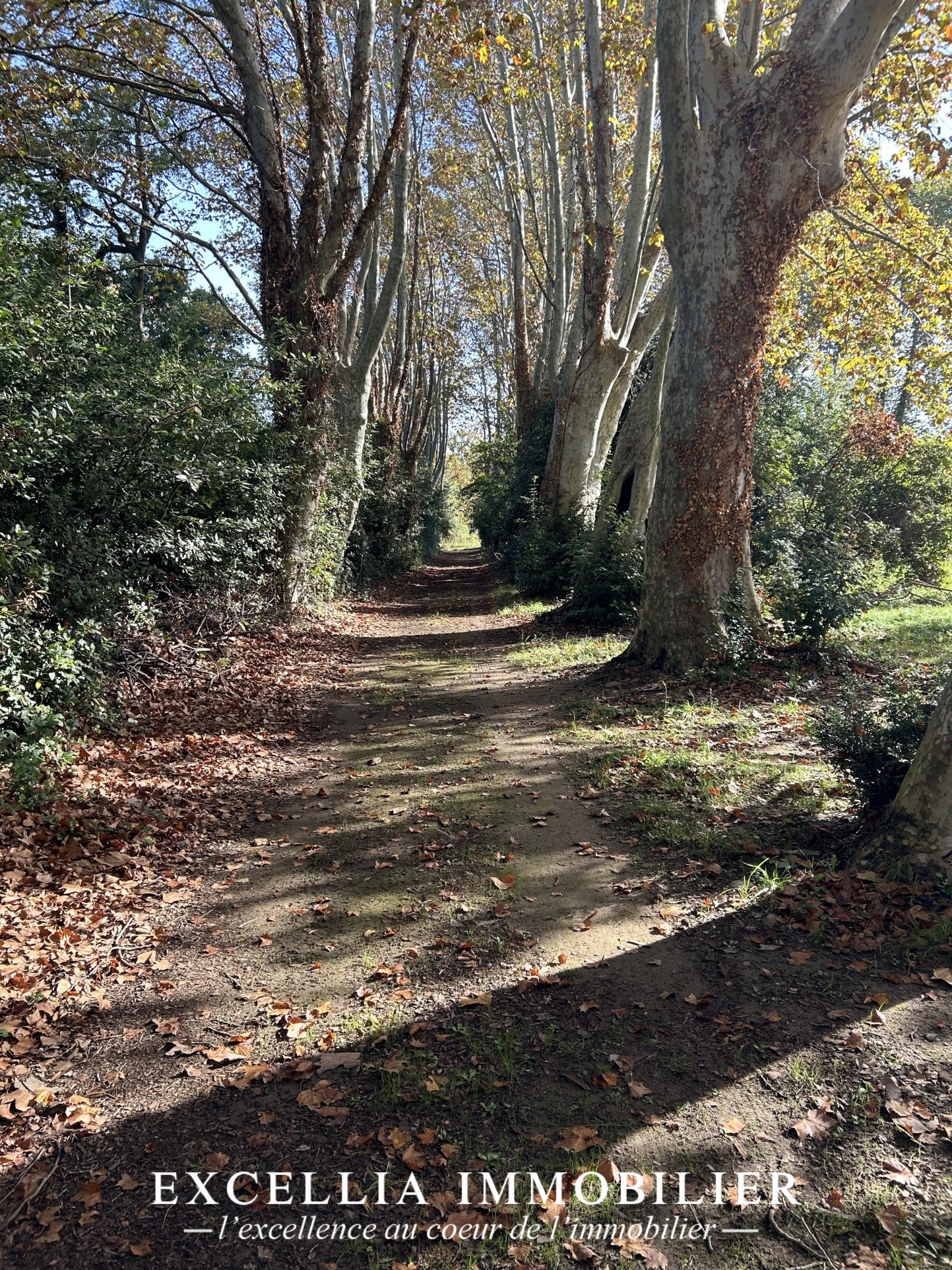 Suffren Castle Entressen
