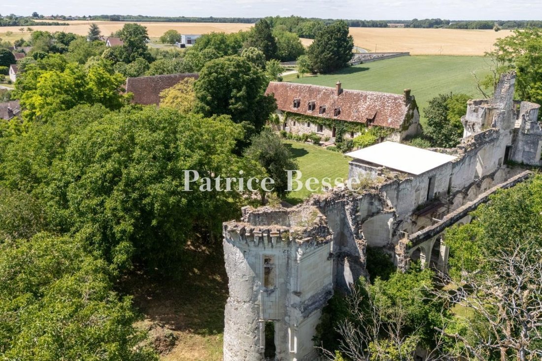 The Ruins Of A Historical Monument Listed Renaissance Chateau, Plus A Comfortable House And A - 3