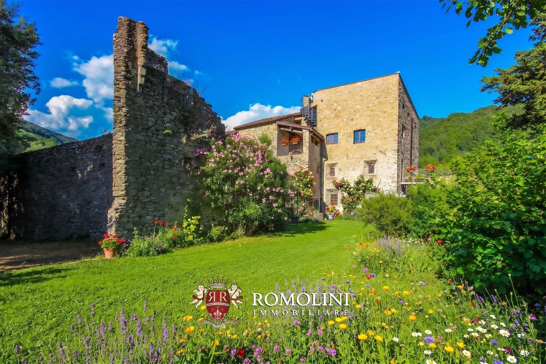 Wine Estate With Castle For Sale In Lunigiana, Tuscany - 2