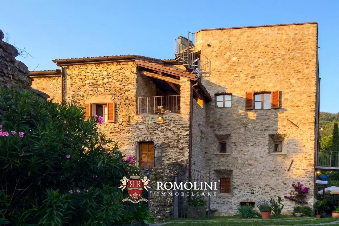 Wine Estate With Castle For Sale In Lunigiana, Tuscany - 3