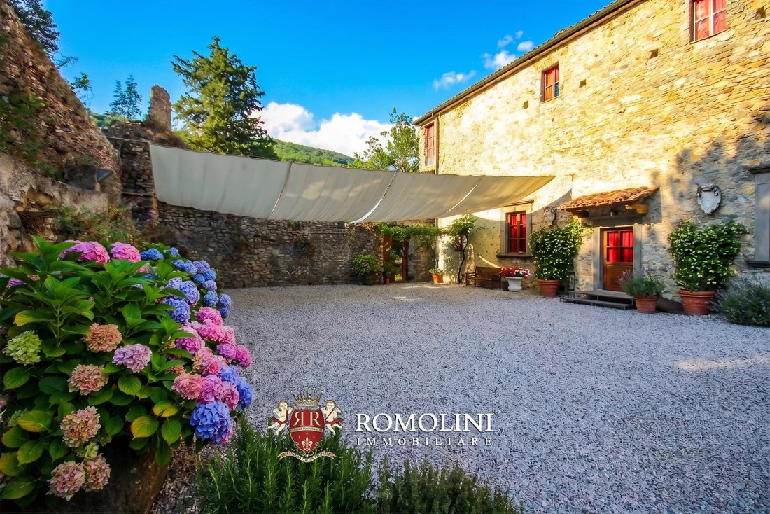 Wine Estate With Castle For Sale In Lunigiana, Tuscany