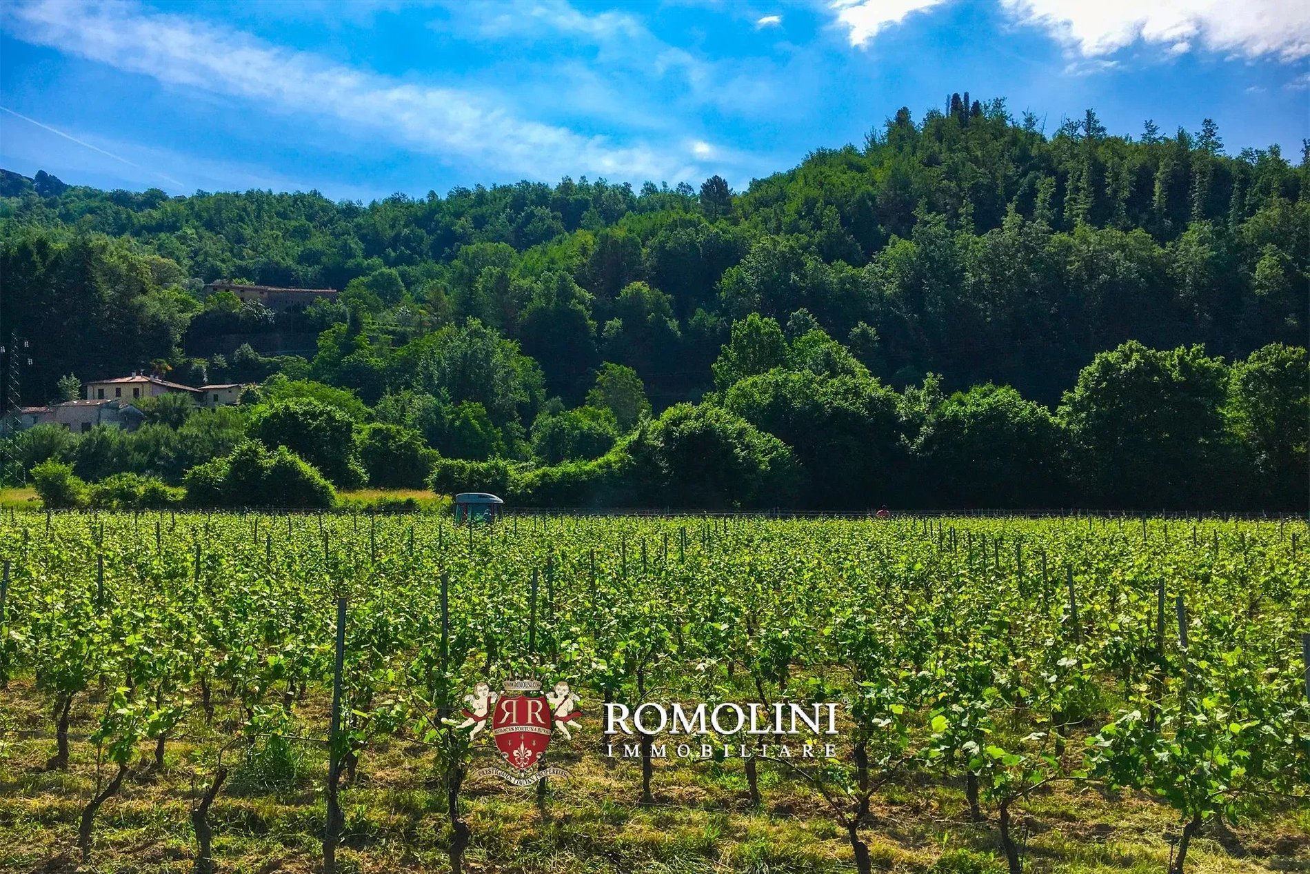 Wine Estate With Castle For Sale In Lunigiana, Tuscany